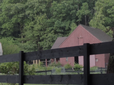 Golden Moon Farm